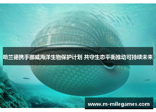 哈兰德携手挪威海洋生物保护计划 共守生态平衡推动可持续未来