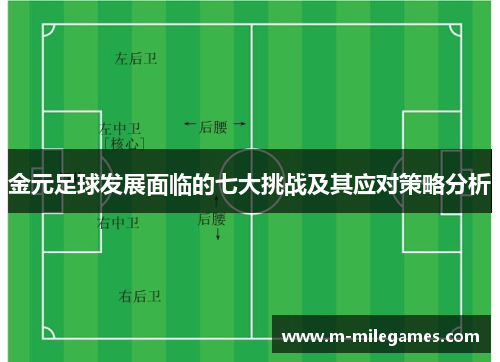 金元足球发展面临的七大挑战及其应对策略分析