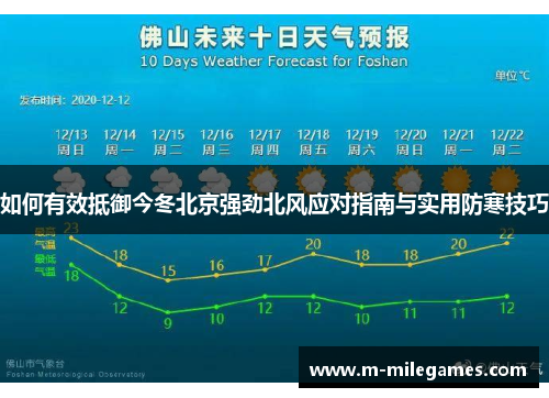 如何有效抵御今冬北京强劲北风应对指南与实用防寒技巧