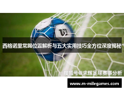 西格诺里常踢位置解析与五大实用技巧全方位深度揭秘